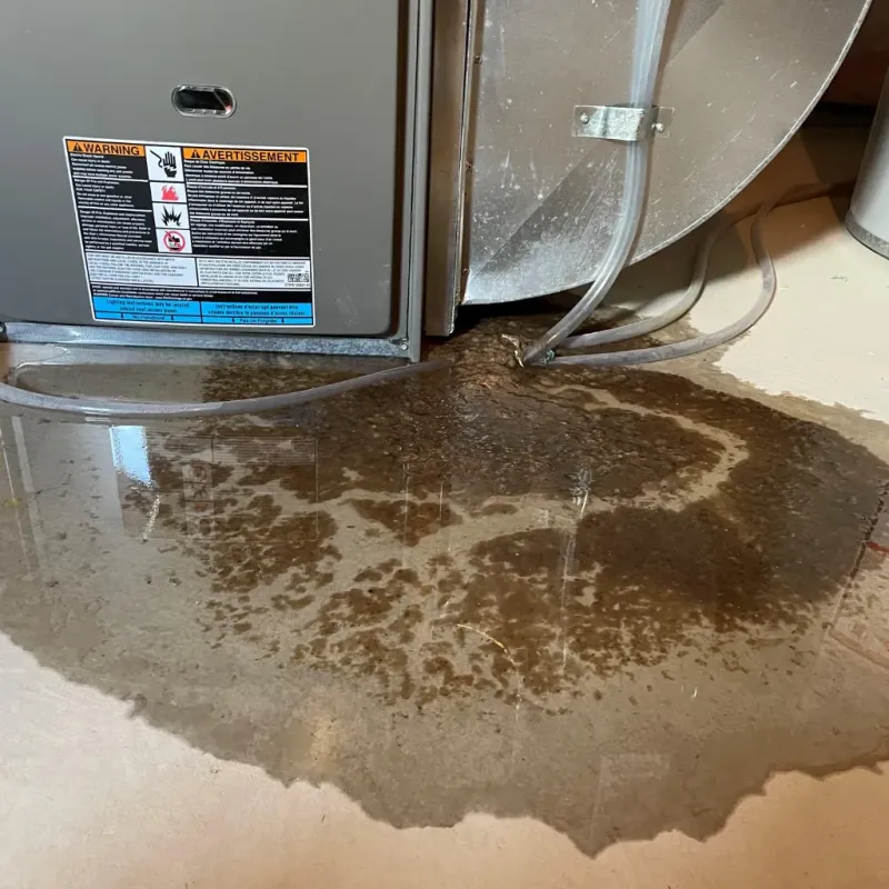 Appliance Leak Cleanup in Collingsworth County, TX
