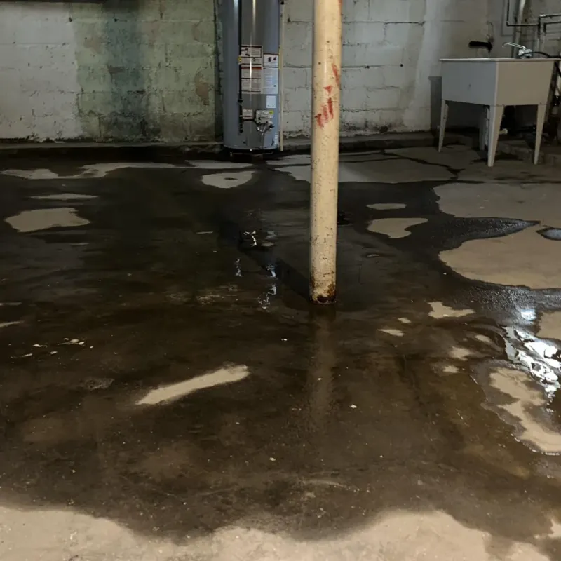 Emergency Water Extraction And Removal in Collingsworth County, TX